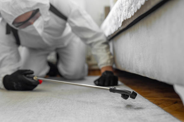 Professional Bed Bug Control technician working in Falls City, OR