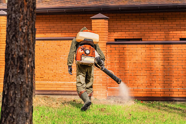 Top rated local Bed Bug Control specialists in Falls City, OR